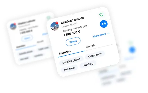 JETVIP — business aviation and private flights